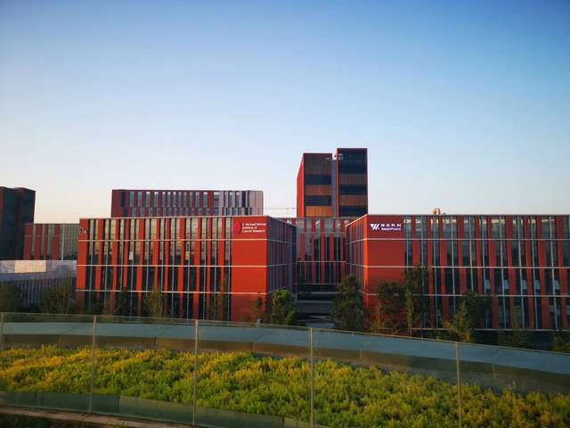 江苏智能食品净化水槽厂