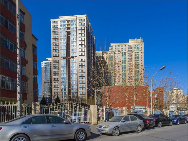 河北铜编织带哪家好